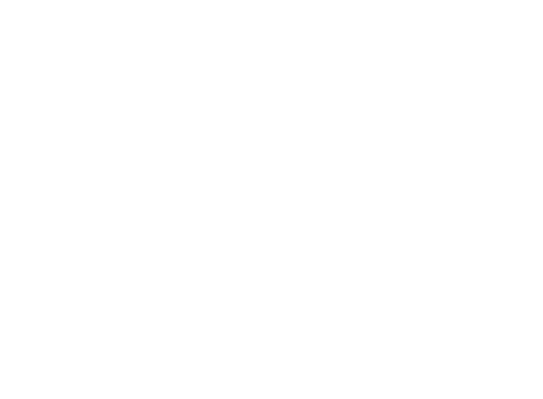 NewOrleansSaintsW@2x