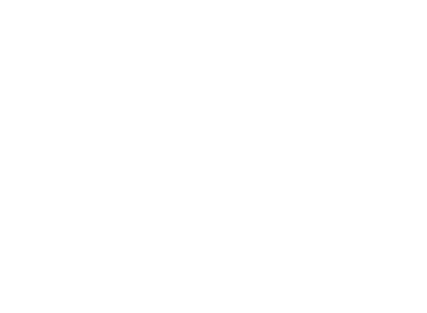 ZscalerW@2x