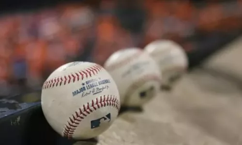 Find Biometrics Baseball Visual