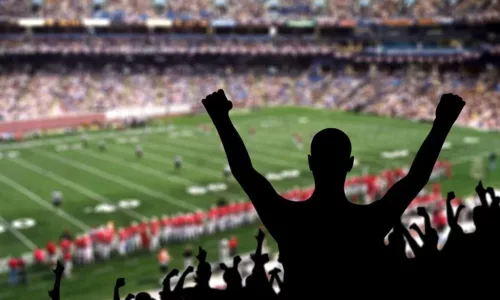 Fan,Celebrating,A,Victory,At,A,American,Football,Game.